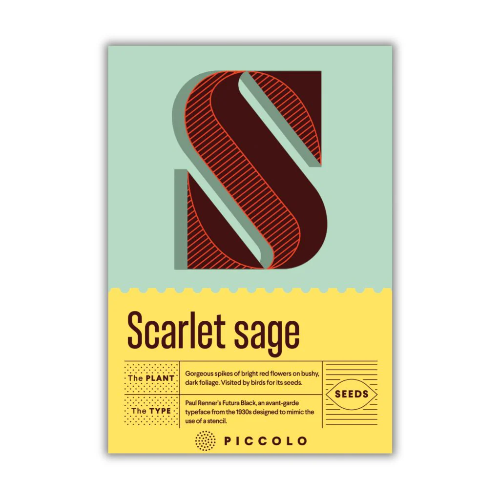 Botanical Alphabet Seed Packet - S