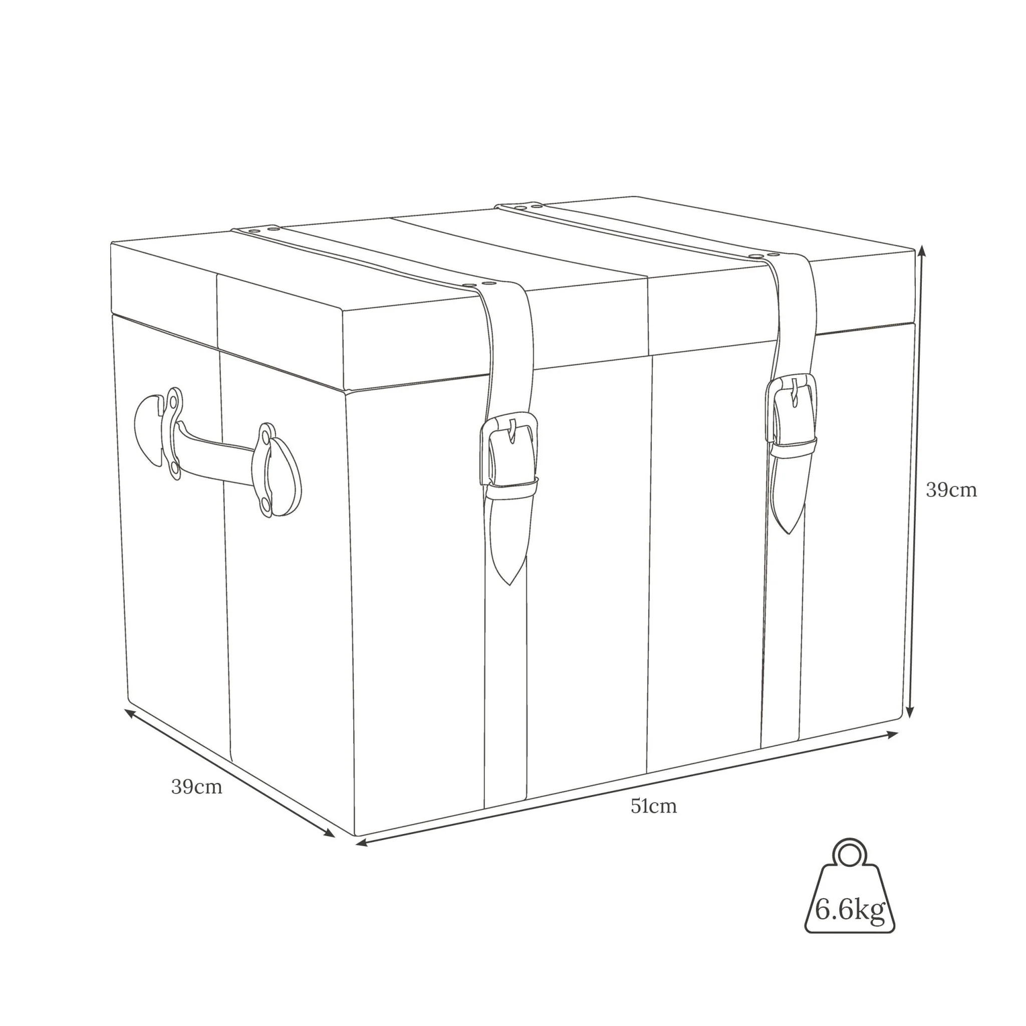 Leather Cabin Trunk - Image 7