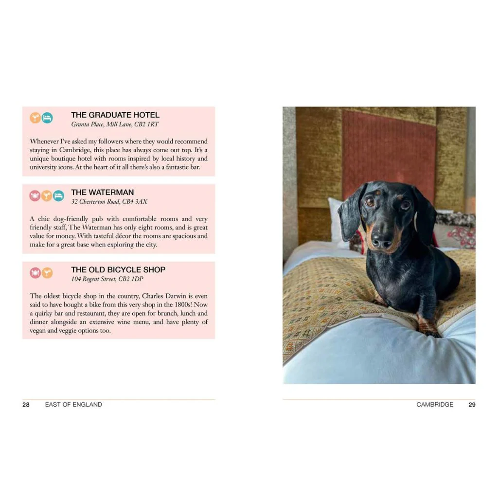 Follow My Lead: UK Walking Adventures For You & Your Dog - Image 3