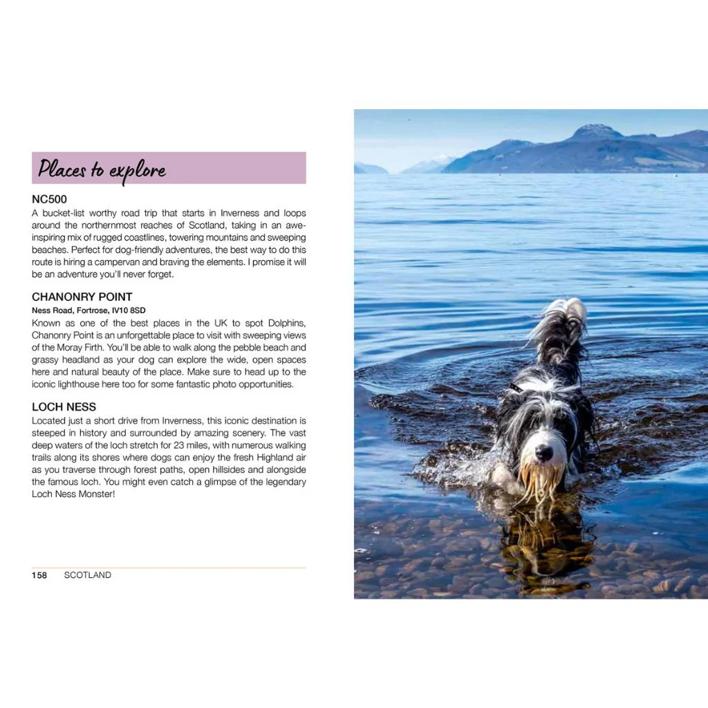 Follow My Lead: UK Walking Adventures For You & Your Dog - Image 4
