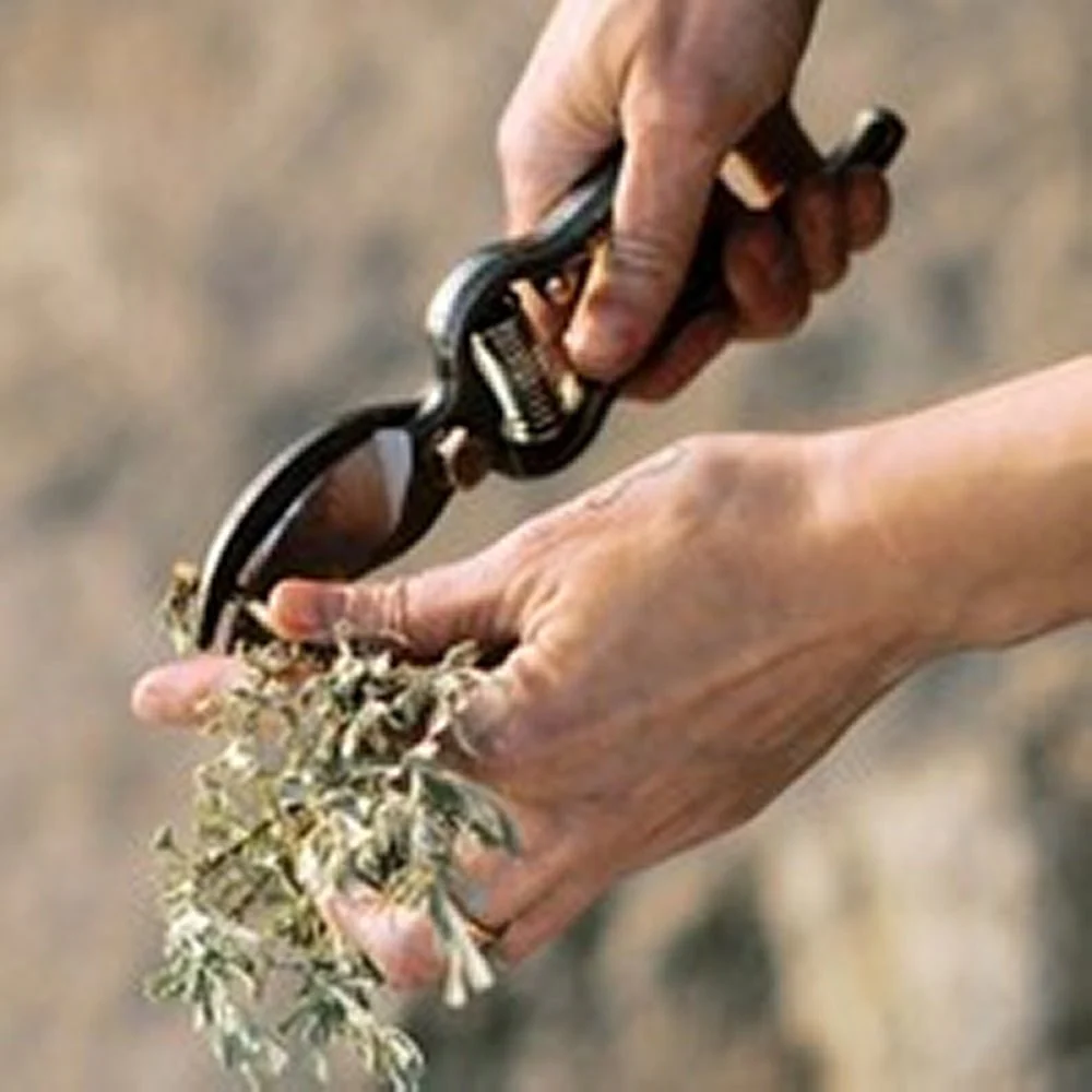 Pruner With Sheath - Image 3