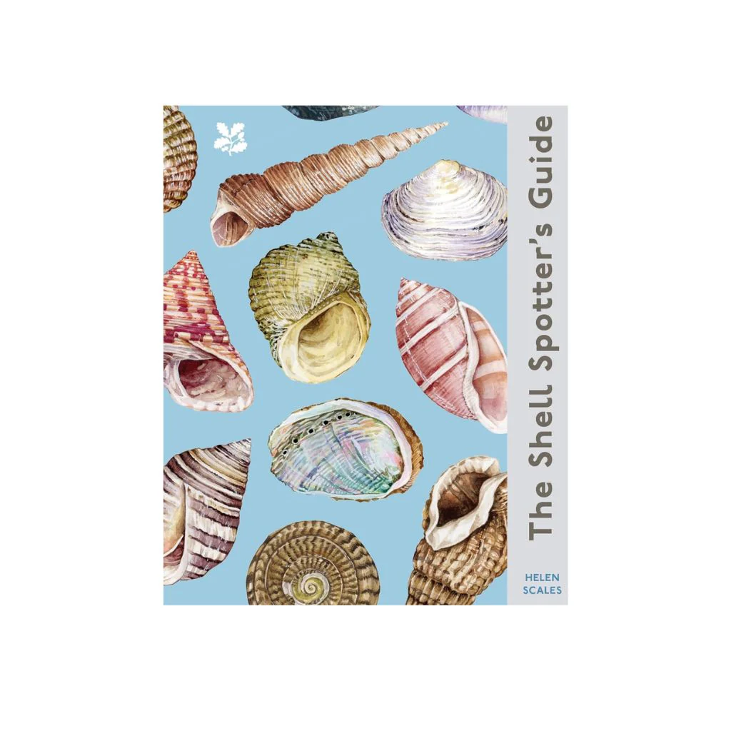 Shell Spotters Guide (National Trust) Book