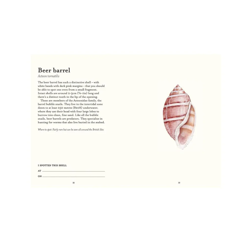 Shell Spotters Guide (National Trust) Book - Image 2