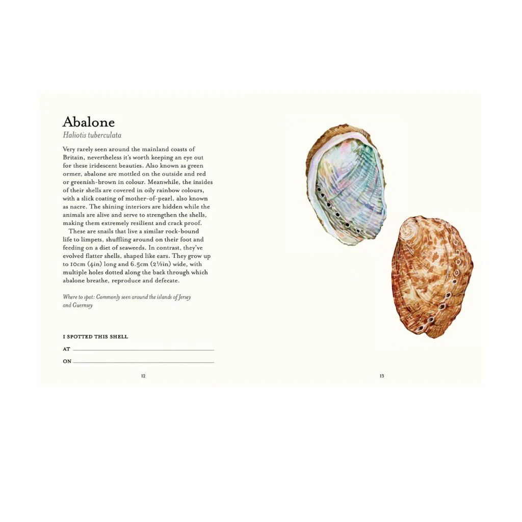 Shell Spotters Guide (National Trust) Book - Image 3